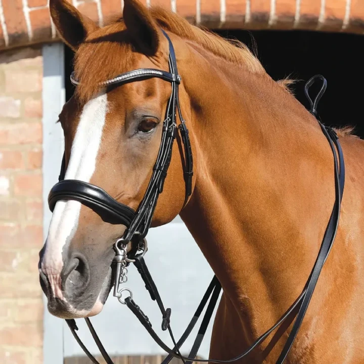 senado-plain-leather-reins-8110-603653_1600x.webp