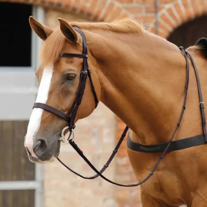 salvatore-rubber-leather-grip-reins-8041-brw-579173_768x.webp