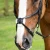 glorioso-mexican-grackle-noseband-8100pblk-794892_1600x.webp