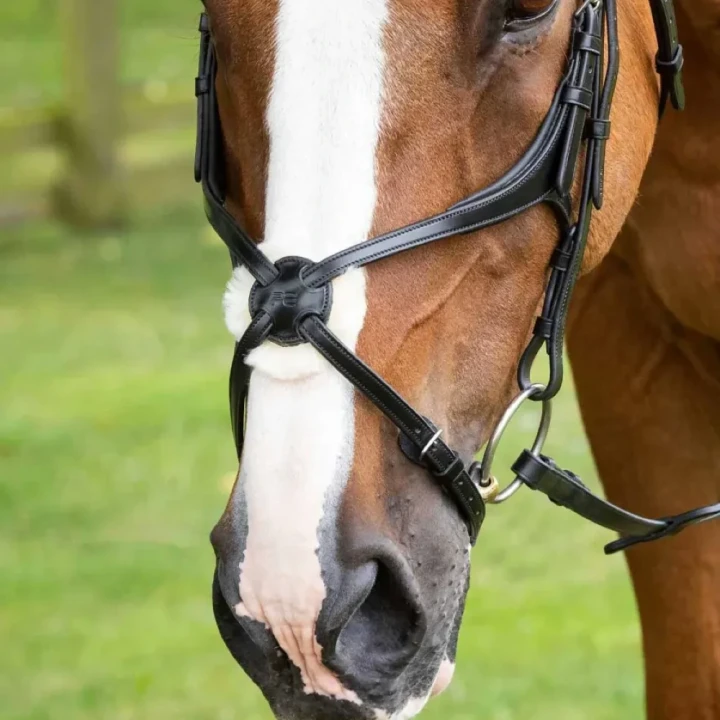 glorioso-mexican-grackle-noseband-8100pblk-794892_1600x.webp