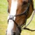 glorioso-mexican-grackle-noseband-8100pbrw-599409_768x.webp