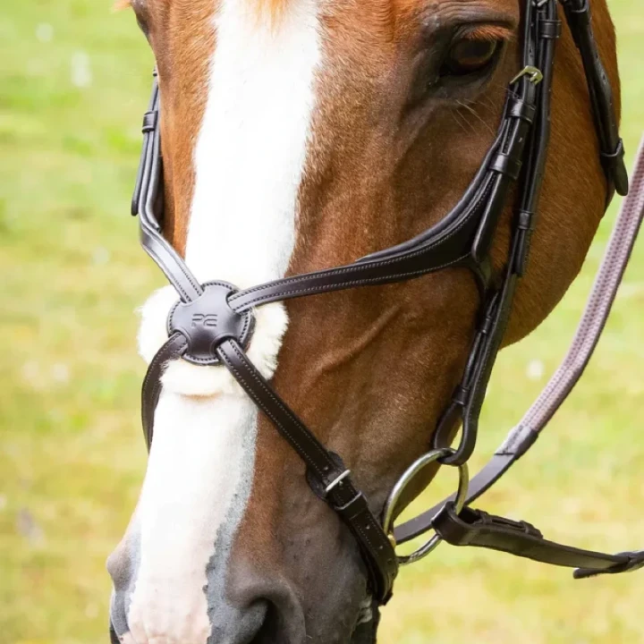 glorioso-mexican-grackle-noseband-8100pbrw-599409_768x.webp