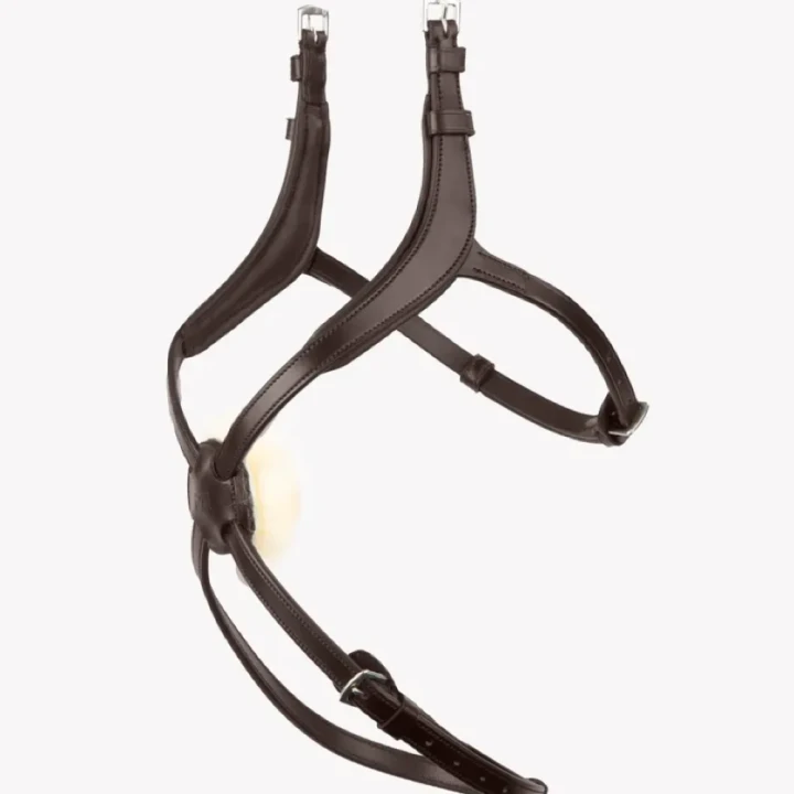glorioso-mexican-grackle-noseband-8100pbrw-635869_768x.webp