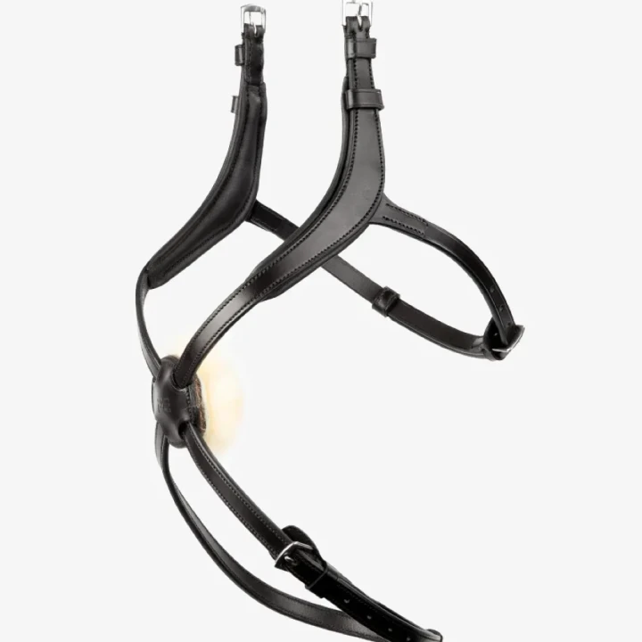 glorioso-mexican-grackle-noseband-8100pblk-241737_1600x.webp