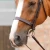primo-hunter-cavesson-noseband-8107pbrw-481882_768x.webp