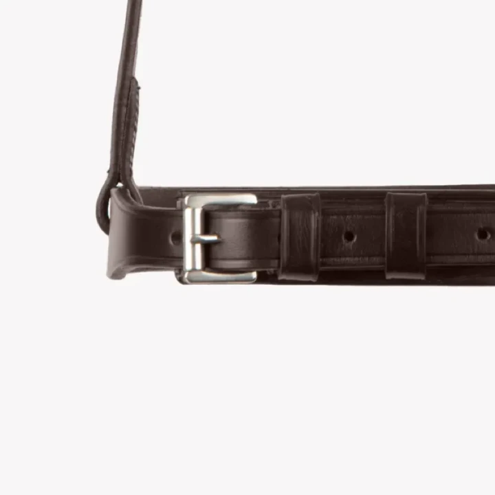 primo-hunter-cavesson-noseband-8107pbrw-554811_768x.webp