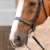 primo-hunter-cavesson-noseband-8107pblk-147186_1600x.webp
