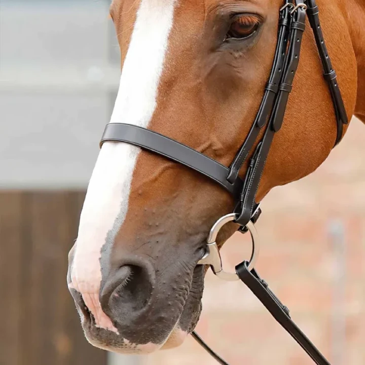 primo-hunter-cavesson-noseband-8107pblk-147186_1600x.webp