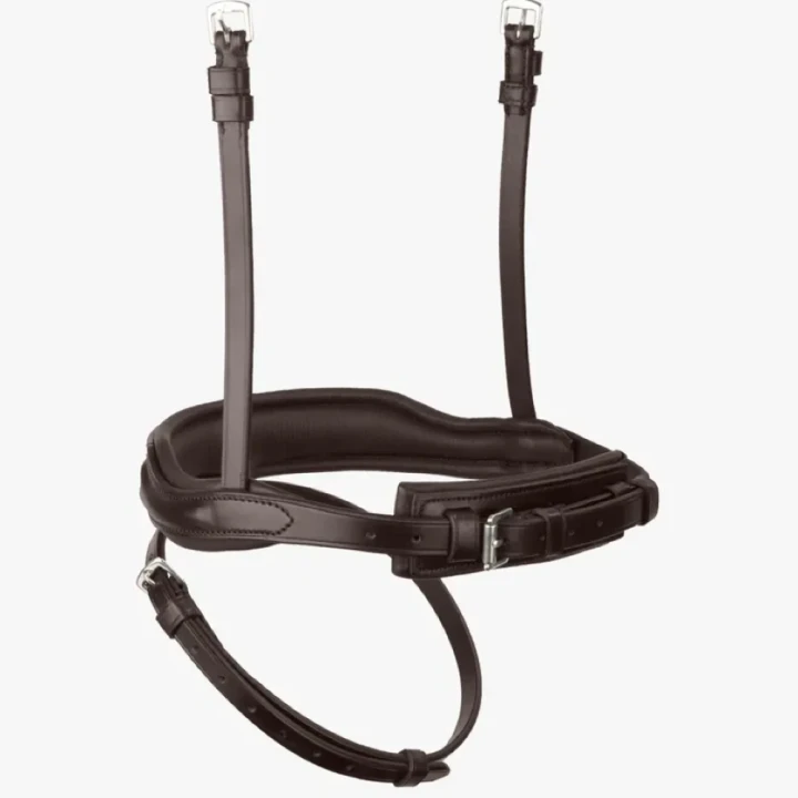 rizzo-anatomic-flash-noseband-8009pbrw-309590_768x.webp