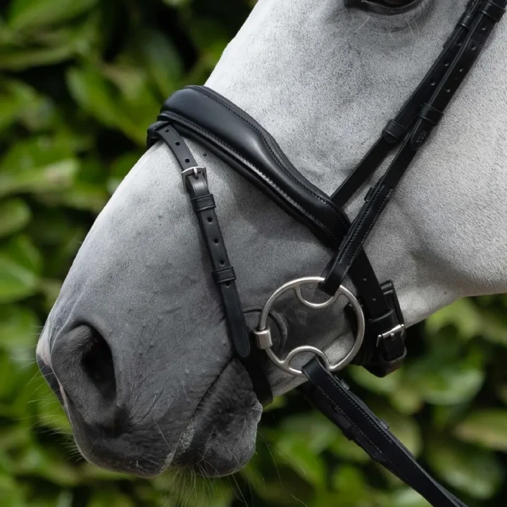 Rizzo-Anatomic-Snaffle-Bridle-with-Flash-Black-2_cde2a4ab-5eef-4c40-b20c-0df73ba8dde0_1600x.webp
