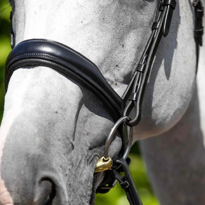 Verdura-Anatomic-Snaffle-Bridle-Black-3_1600x.webp