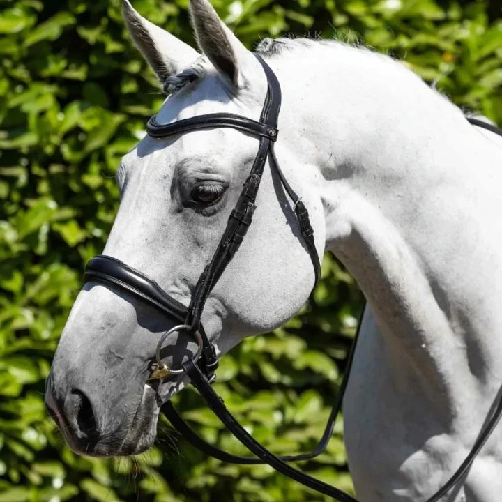 Verdura-Anatomic-Snaffle-Bridle-Black-1_1600x.webp