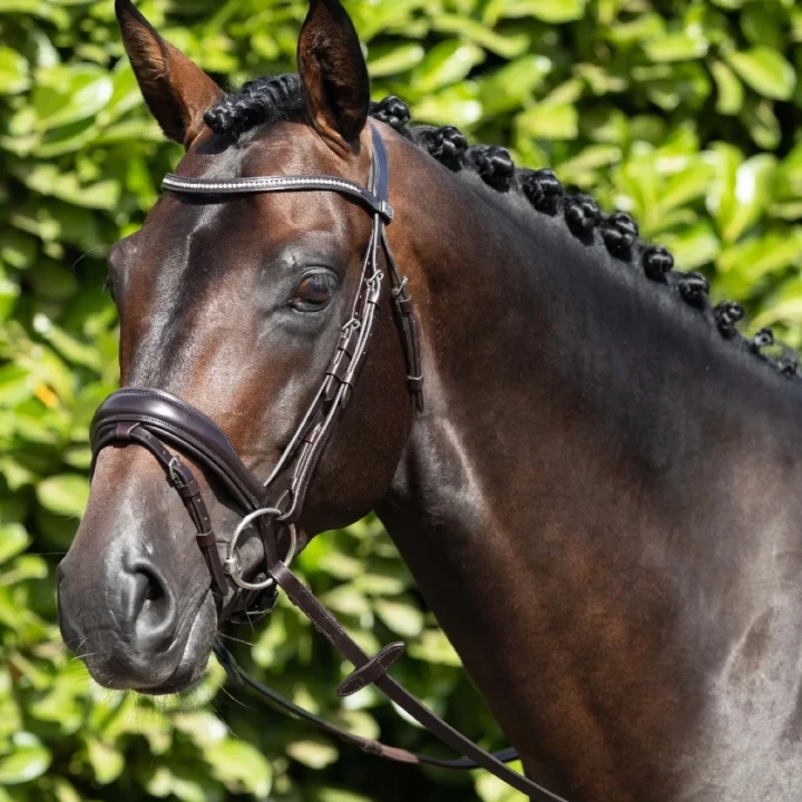 Stellazio-Anatomic-Snaffle-Bridle-with-Flash-Brown-1-v2_1600x.webp