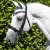 Abriano-Anatomic-Double-Bridle-with-Crank-Noseband-Black-7_1600x.webp