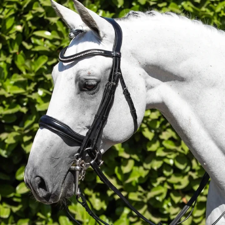 Abriano-Anatomic-Double-Bridle-with-Crank-Noseband-Black-7_1600x.webp