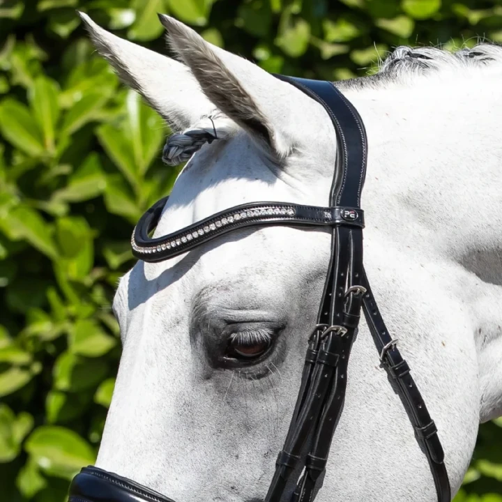Abriano-Anatomic-Double-Bridle-web-image-2_97_1600x.webp