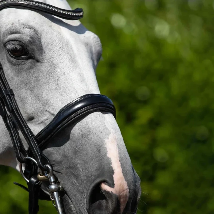 Abriano-Anatomic-Double-Bridle-with-Crank-Noseband-Black-10_1600x.webp