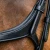 glorioso-grackle-bridle-8016-cblk-312246_1600x.webp
