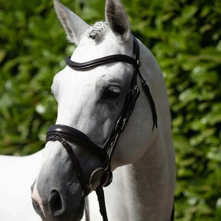 Rizzo-Anatomic-Snaffle-Bridle-with-Flash-Brown-1_1600x.webp