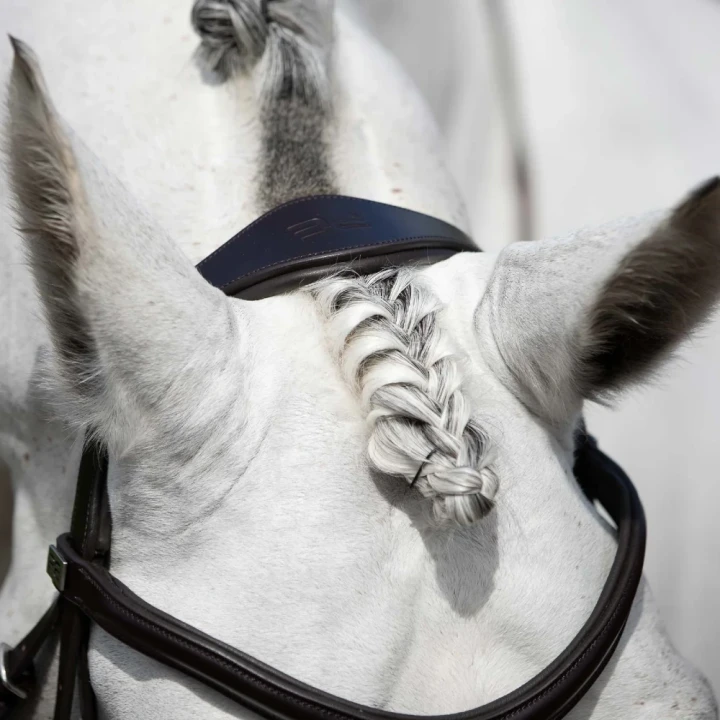Rizzo-Anatomic-Snaffle-Bridle-with-Flash-Brown-6_1600x.webp