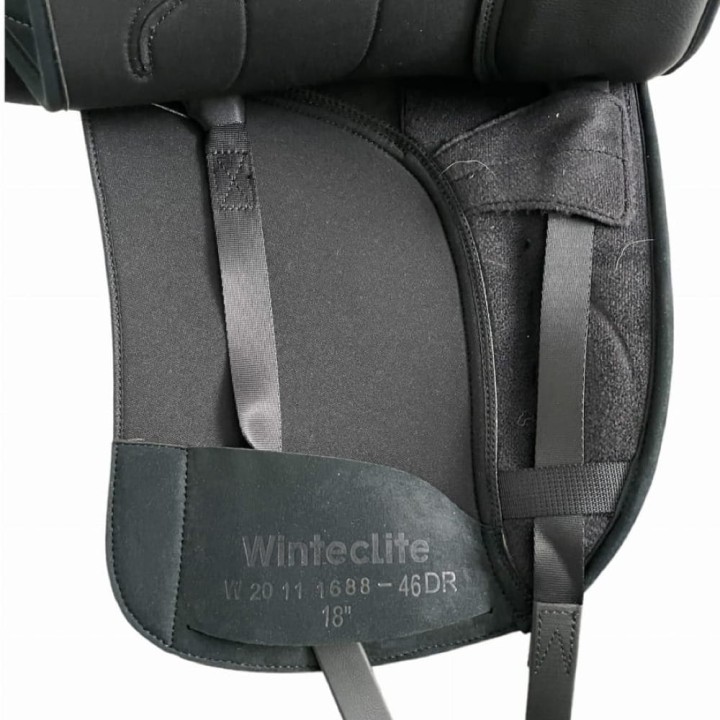 WintecLite_DR_Dlux.png