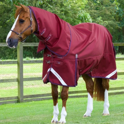 Titan-50g-Turnout-Rug-inc-Neck---Burgundy---1_1600x.webp