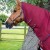 Titan-50g-Turnout-Rug-inc-Neck---Burgundy---2_1600x.jpg