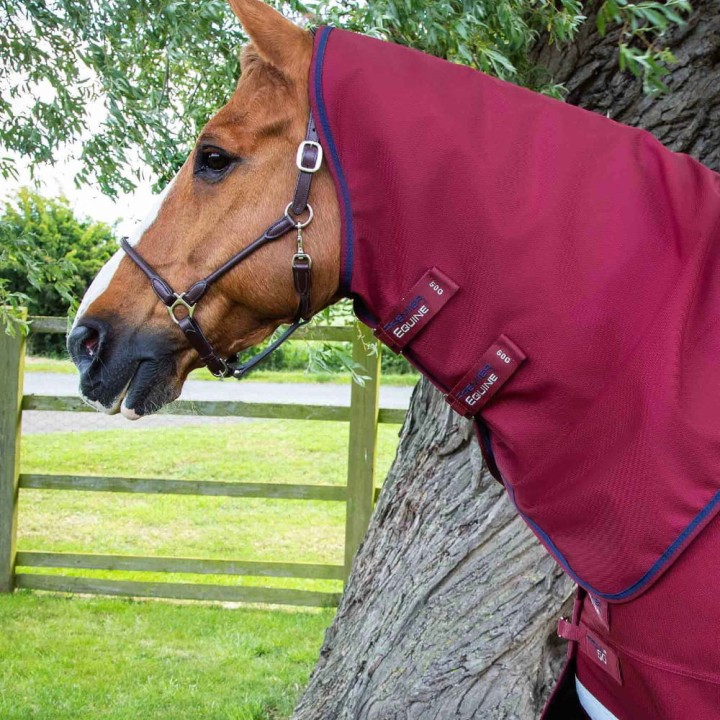 Titan-50g-Turnout-Rug-inc-Neck---Burgundy---2_1600x.jpg