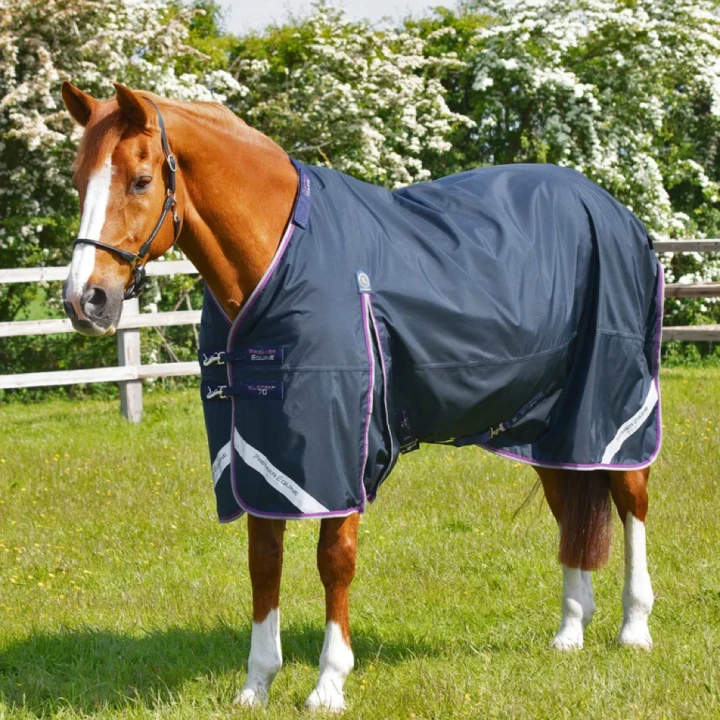 buster-70g-turnout-rug-with-classic-neck-cover-203750n-570875_768x.webp