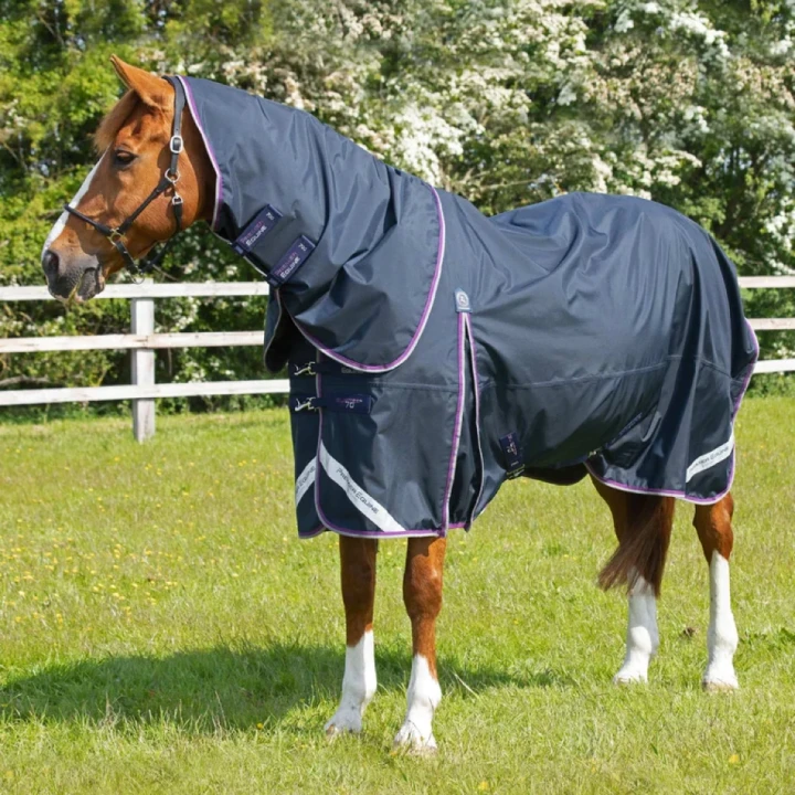 buster-70g-turnout-rug-with-classic-neck-cover-203750n-304661_768x.webp