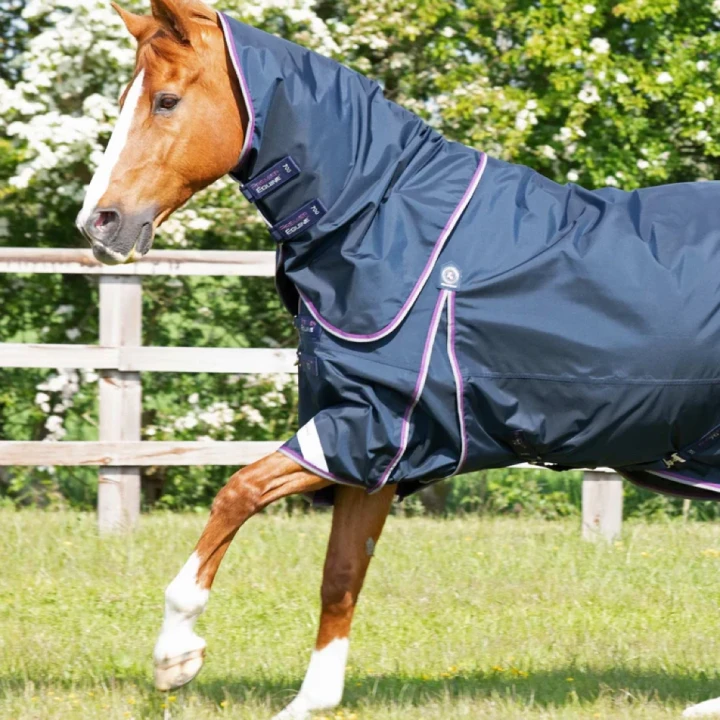 buster-70g-turnout-rug-with-classic-neck-cover-203750n-936388_768x.webp