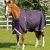 buster-70g-turnout-rug-with-classic-neck-cover-203750prp-260322_768x.webp