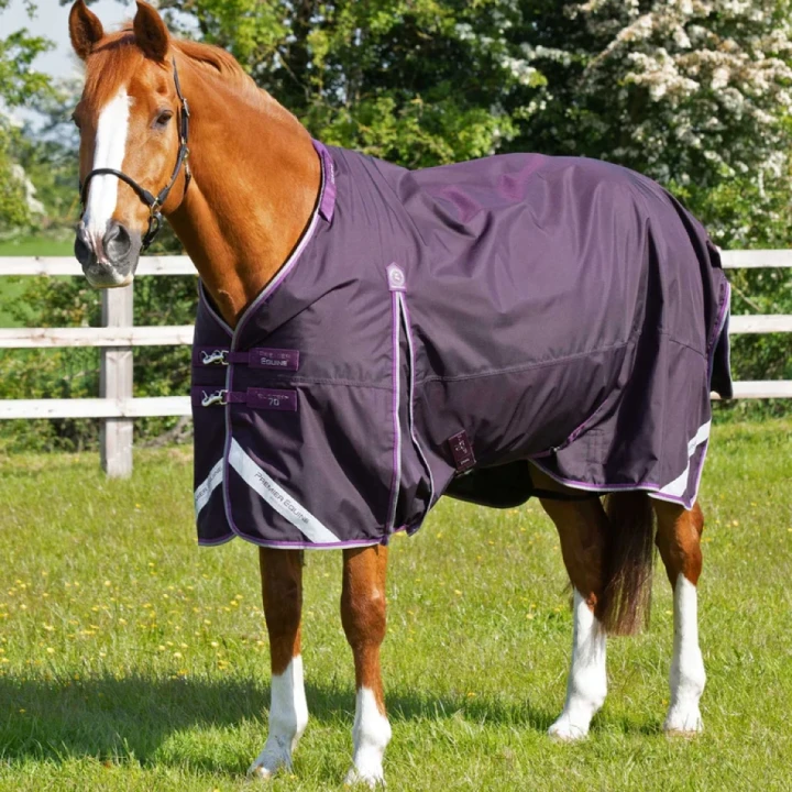 buster-70g-turnout-rug-with-classic-neck-cover-203750prp-260322_768x.webp
