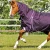 buster-70g-turnout-rug-with-classic-neck-cover-203750prp-465610_768x.webp