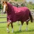 buster-storm-90g-combo-turnout-rug-with-classic-neck-215750brg-188173_1600x.webp