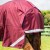 buster-storm-90g-combo-turnout-rug-with-classic-neck-215750brg-754676_1600x.jpg