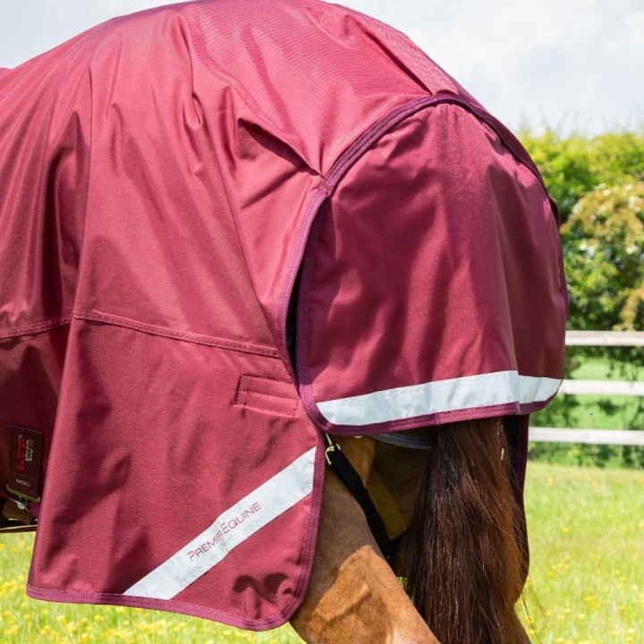 buster-storm-90g-combo-turnout-rug-with-classic-neck-215750brg-754676_1600x.jpg