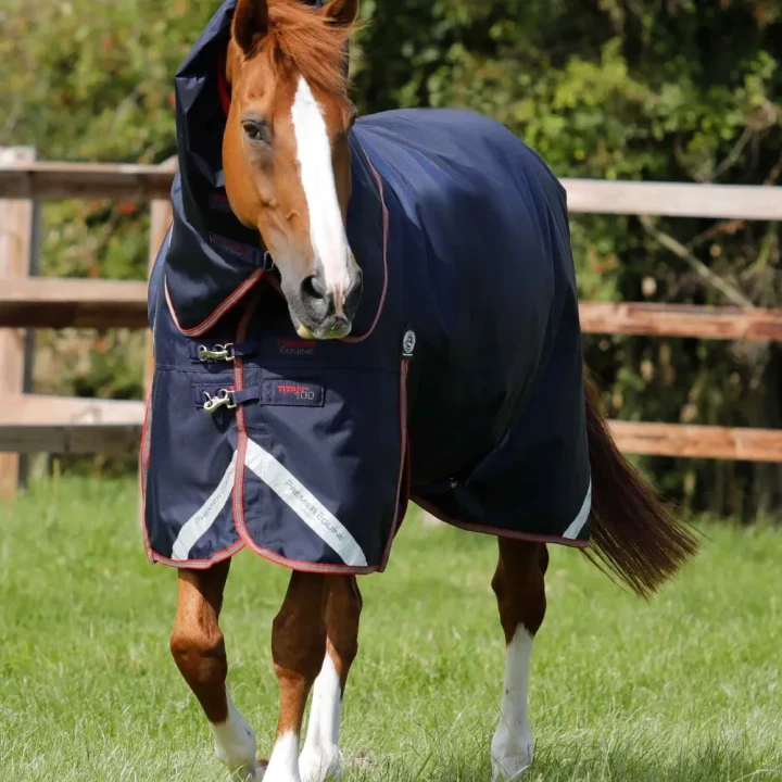 Titan-100g-Turnout-Rug-with-Snug-Fit-Neck-Cover-Image-7_1600x.webp