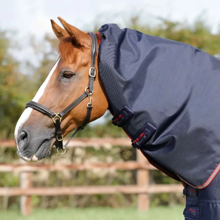 titan-100g-turnout-rug-with-snug-fit-neck-cover-201256n-584142_1600x.webp