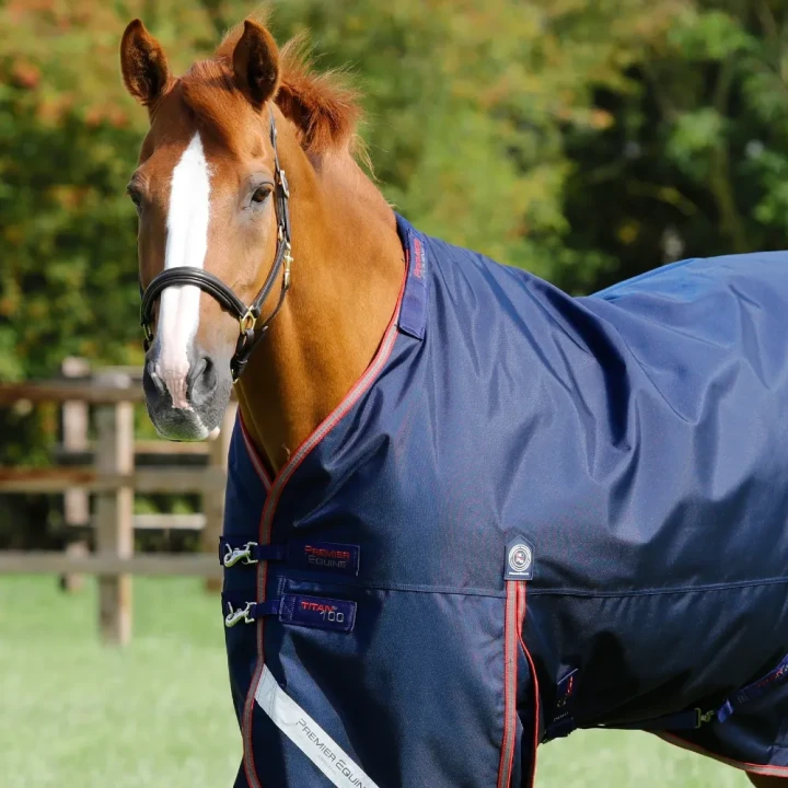 titan-100g-turnout-rug-with-snug-fit-neck-cover-201256n-995300_1600x.webp