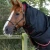 Titan-100-Turnout-Rug-Black-2_3eca7e5d-3008-4889-823b-07fd8bf30a8a_768x.webp