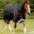 Buster-100-Turnout-Rug-Black-1_768x.webp