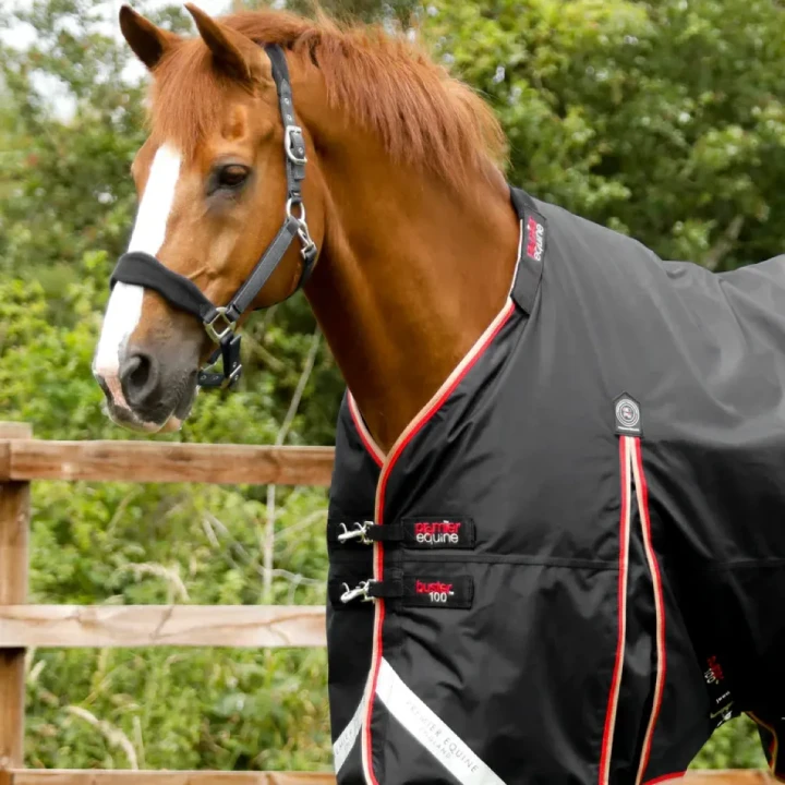 Buster-100-Turnout-Rug-Black-2_768x.webp