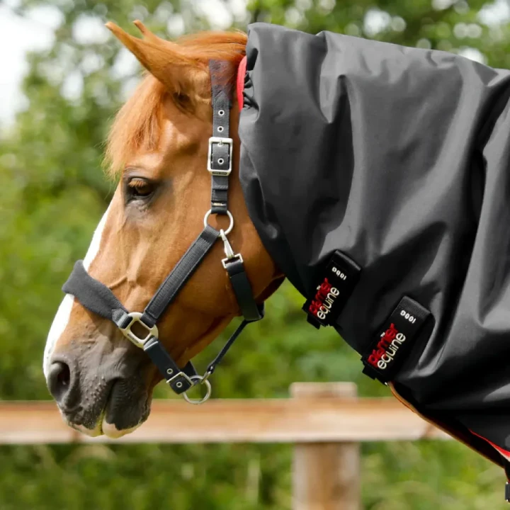 Buster-100-Turnout-Rug-Black-3_768x.webp