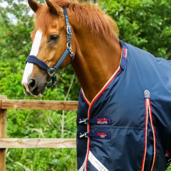 Buster-100-Turnout-Rug-Navy-2_7d4a7544-c7a6-41b6-a28e-c14533c74cfc_1600x.webp
