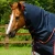 Buster-100-Turnout-Rug-Navy-3_00ba019f-c691-496c-a9b1-6e3ed848ad34_1600x.webp