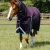 buster-storm-100g-combo-turnout-rug-with-snug-fit-neck-217156prp-789976_768x.webp