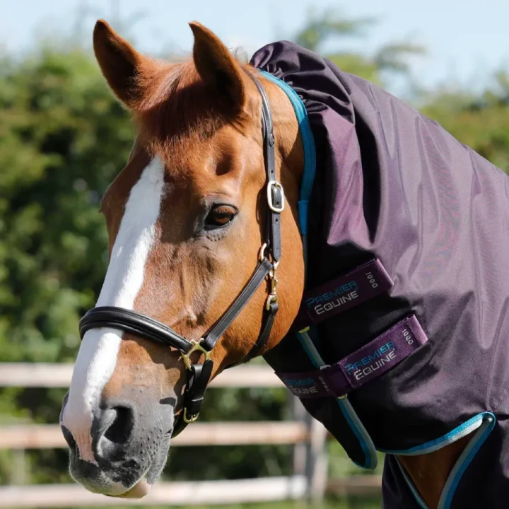 buster-storm-100g-combo-turnout-rug-with-snug-fit-neck-217156prp-547027_768x.webp