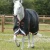 buster-hardy-100g-half-neck-turnout-rug-220556b-657219_768x.webp