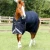 titan-100g-original-turnout-rug-217256n-377045_768x.webp